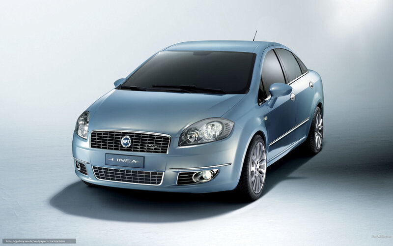 Blue Fiat Linea Car