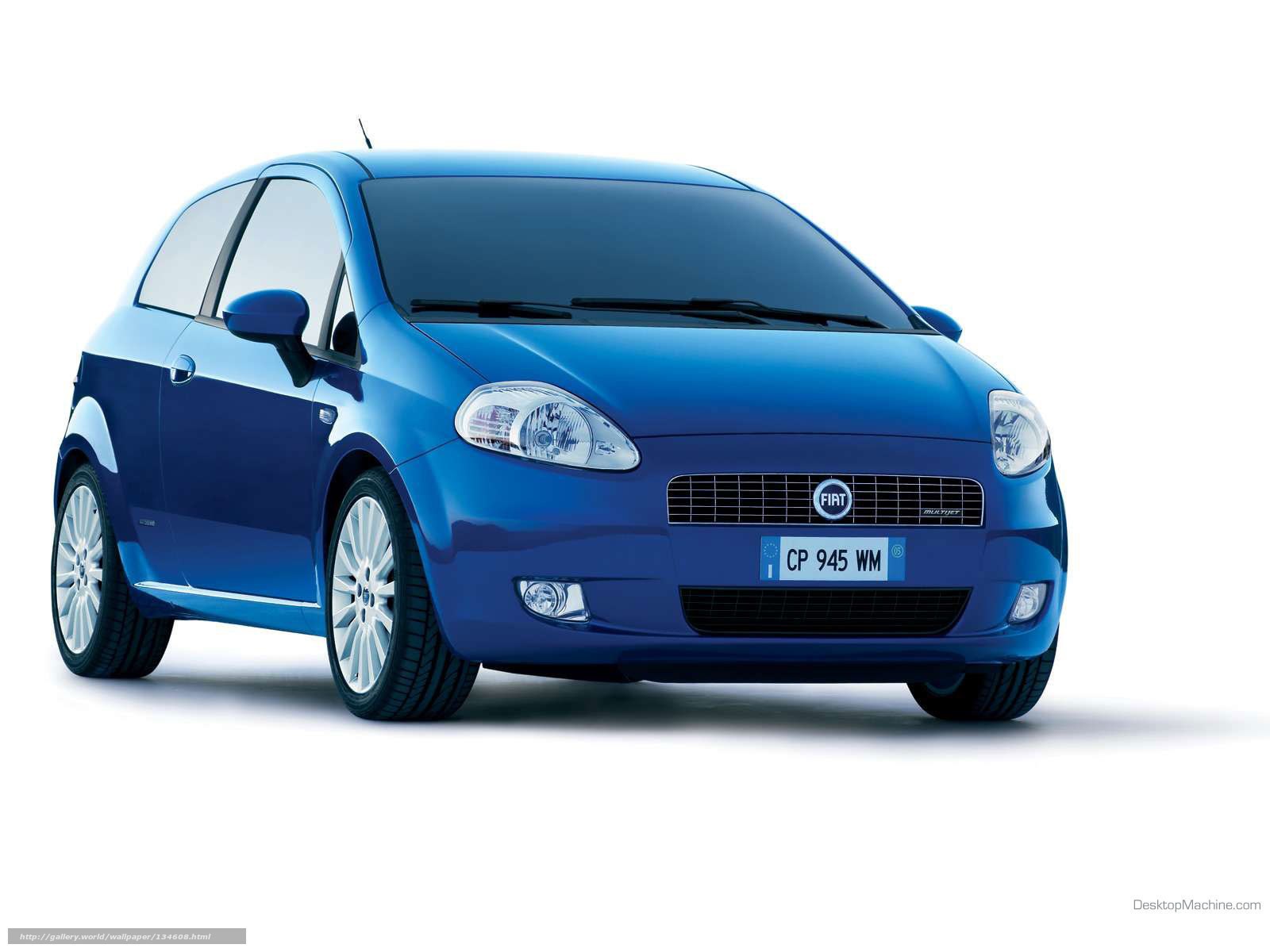 Blue Fiat Punto car