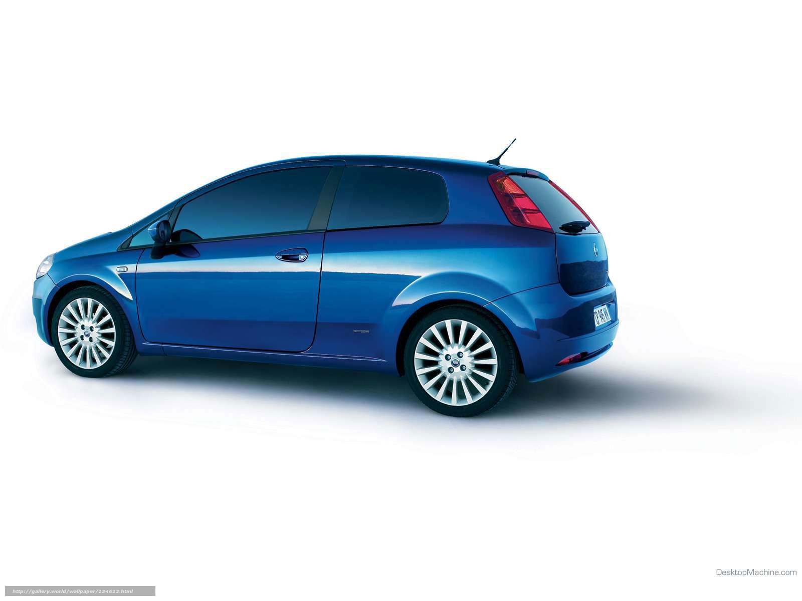 blue fiat punto hatchback