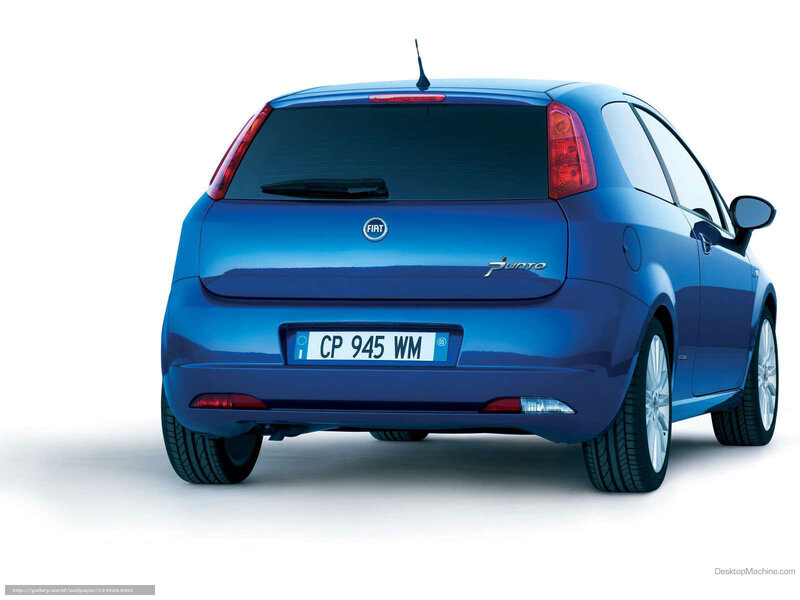 blue fiat punto rear view
