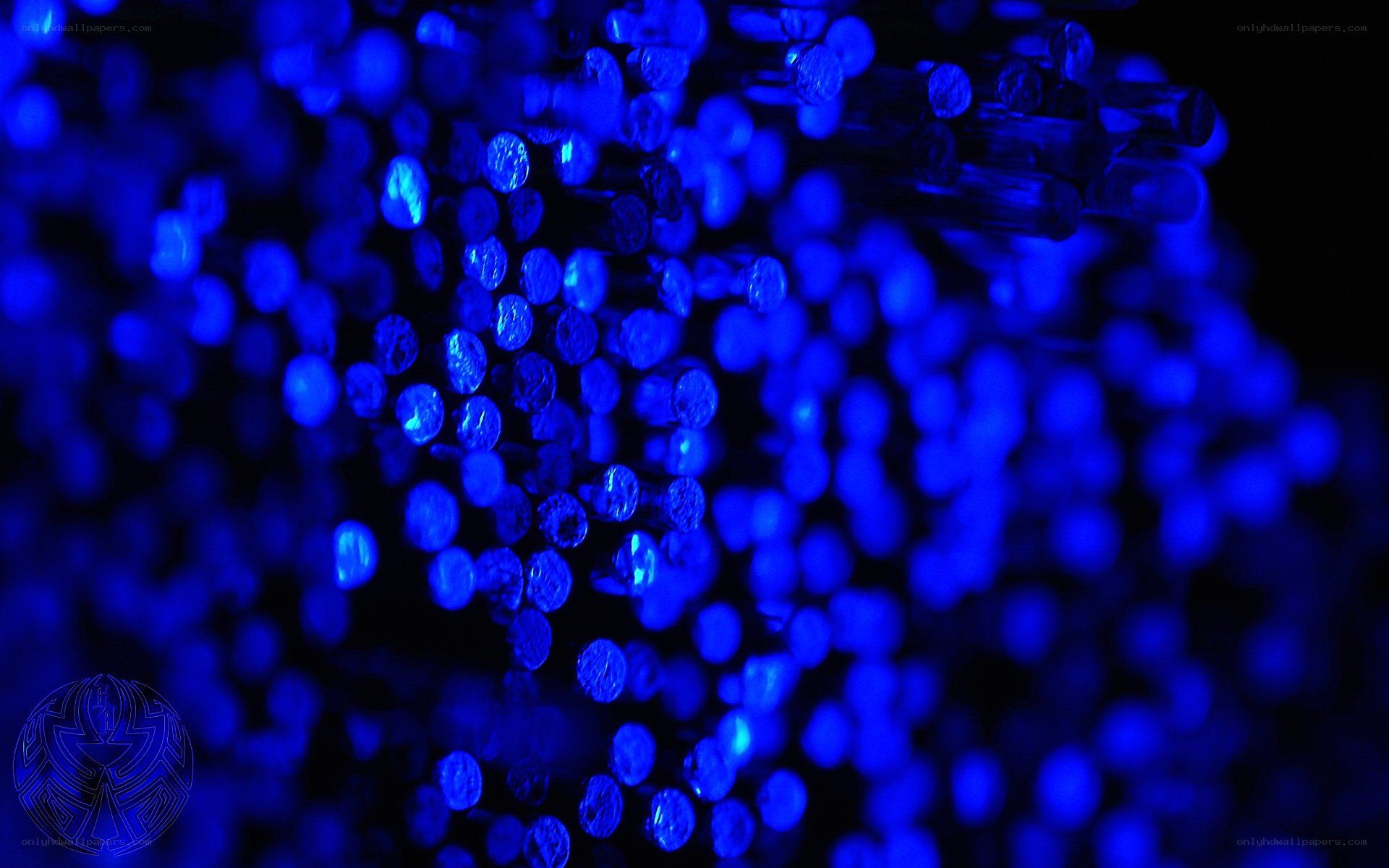 blue fiber optic lights