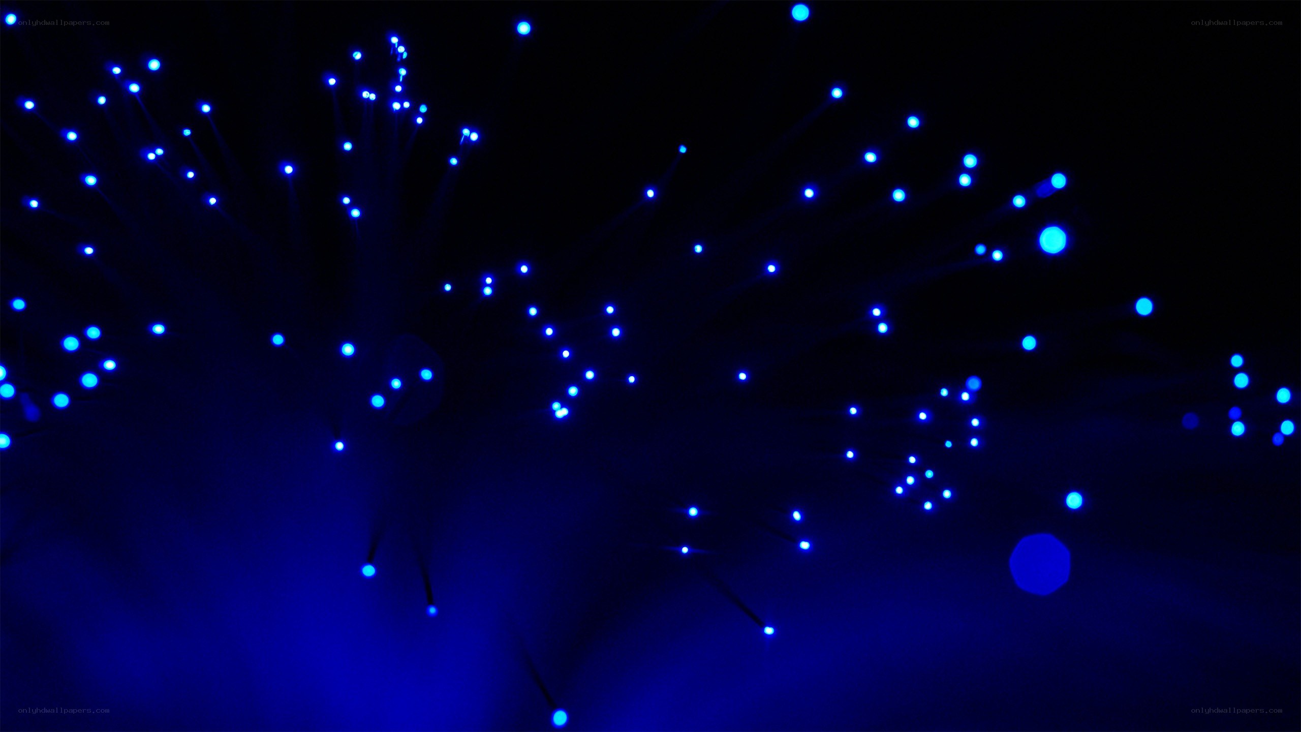blue fiber optic lights
