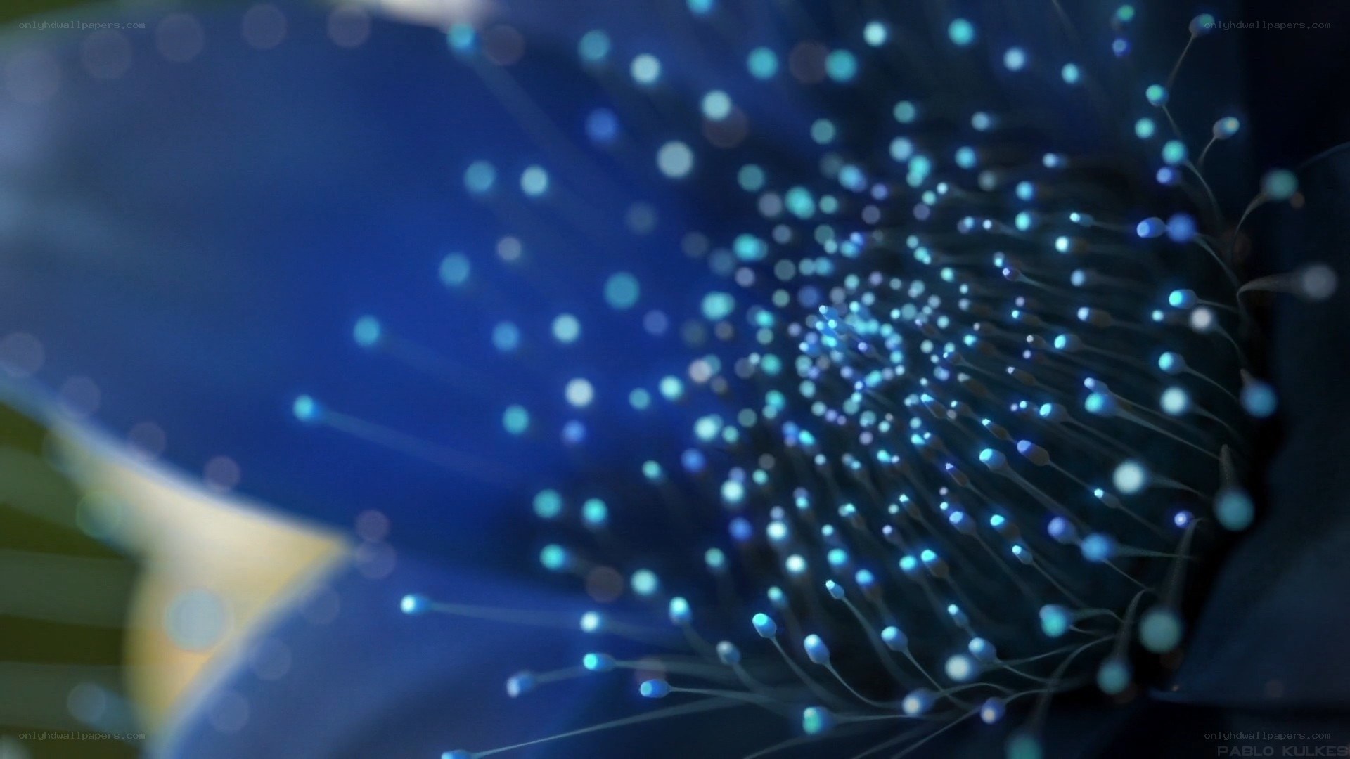 blue fiber optic lights