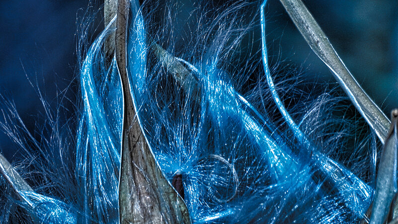 Blue Fiber Strands
