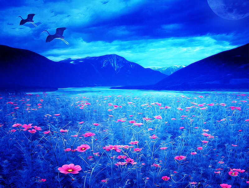 Blue Field of Flowers