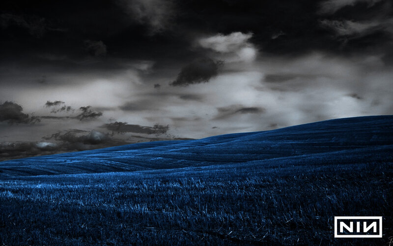 Blue Field under Cloudy Sky