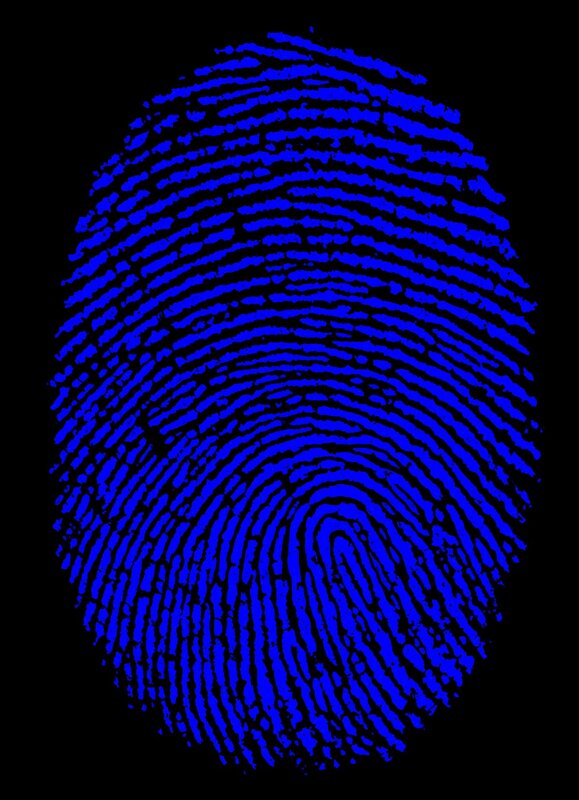 Blue Fingerprint Pattern — Neutral