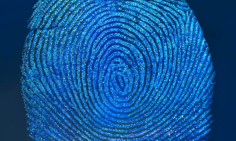 Blue Fingerprint Pattern