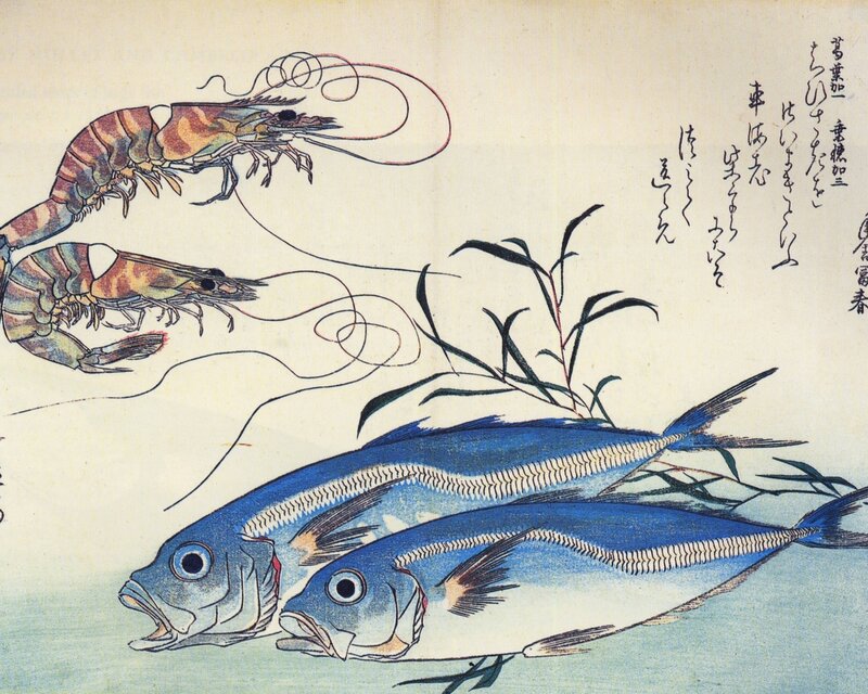 Blue Fish and Shrimp