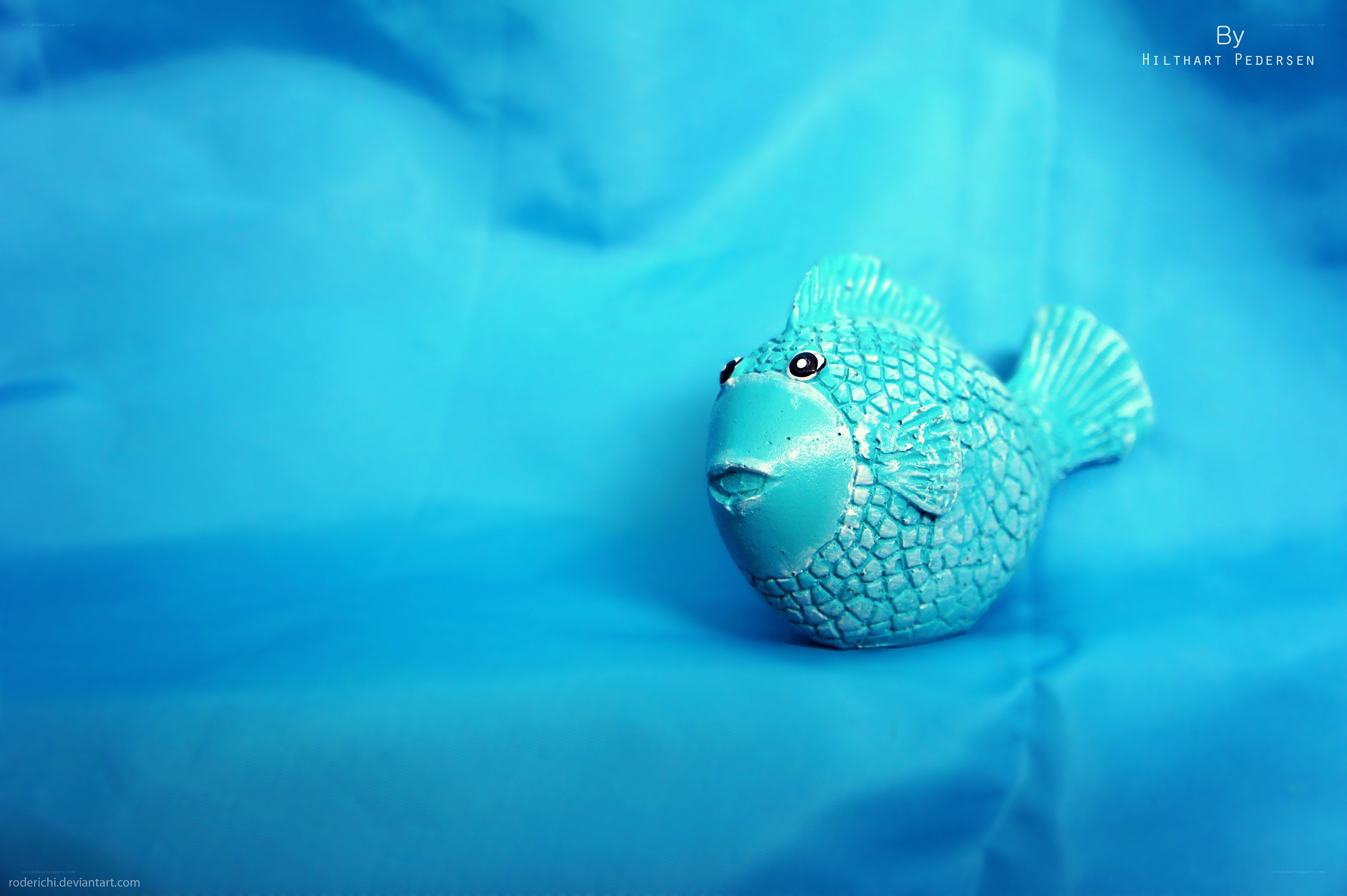 blue fish figurine on blue background