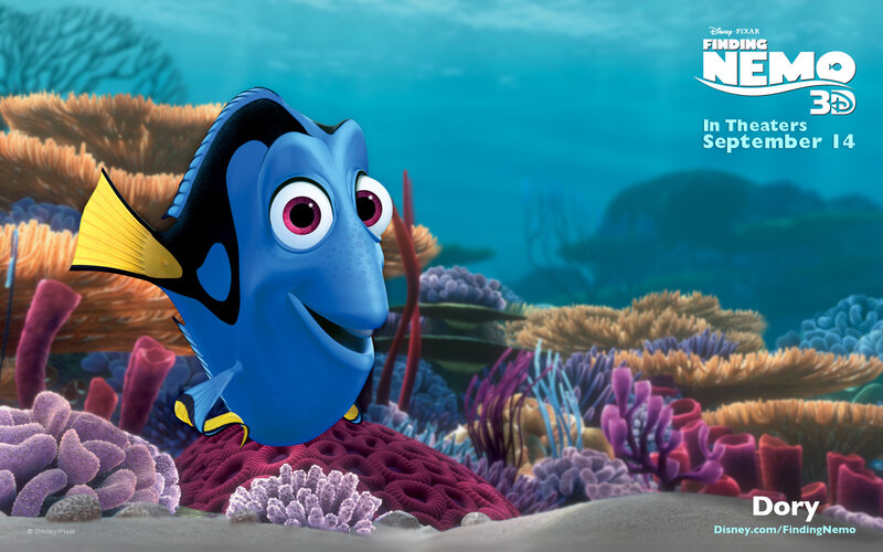 Blue Fish in Coral Reef — Calm