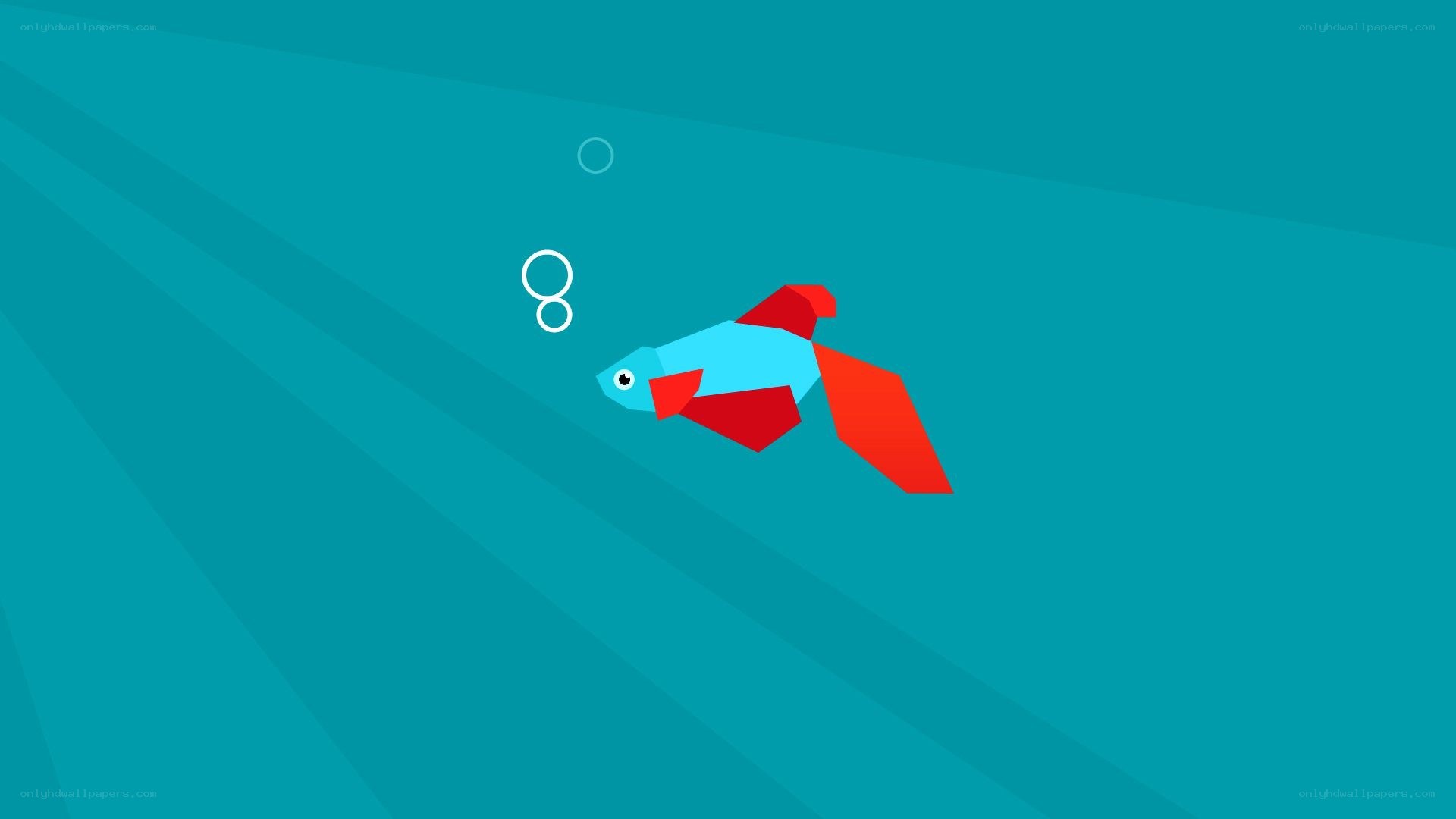 blue fish with red fins