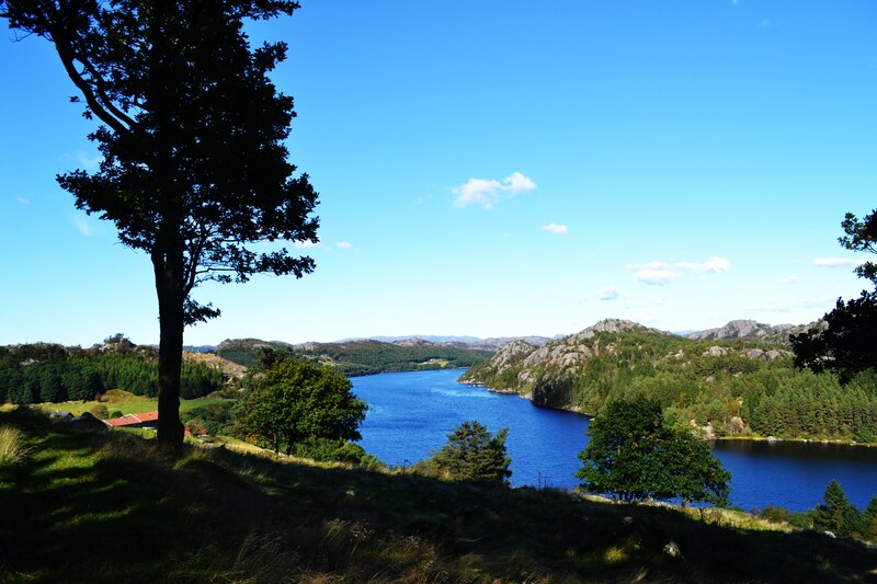 Blue Fjord Landscape