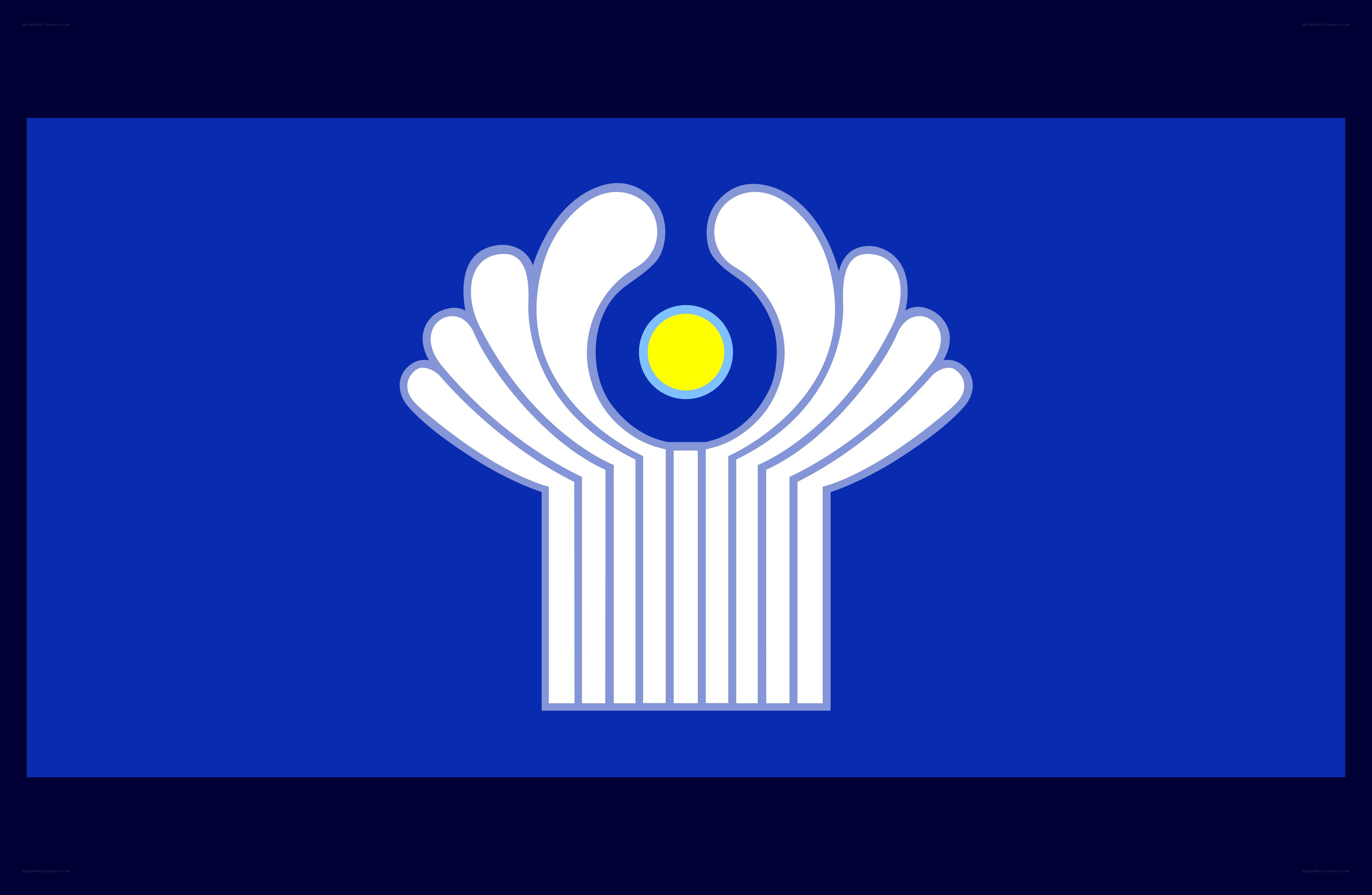 Blue flag with white emblem