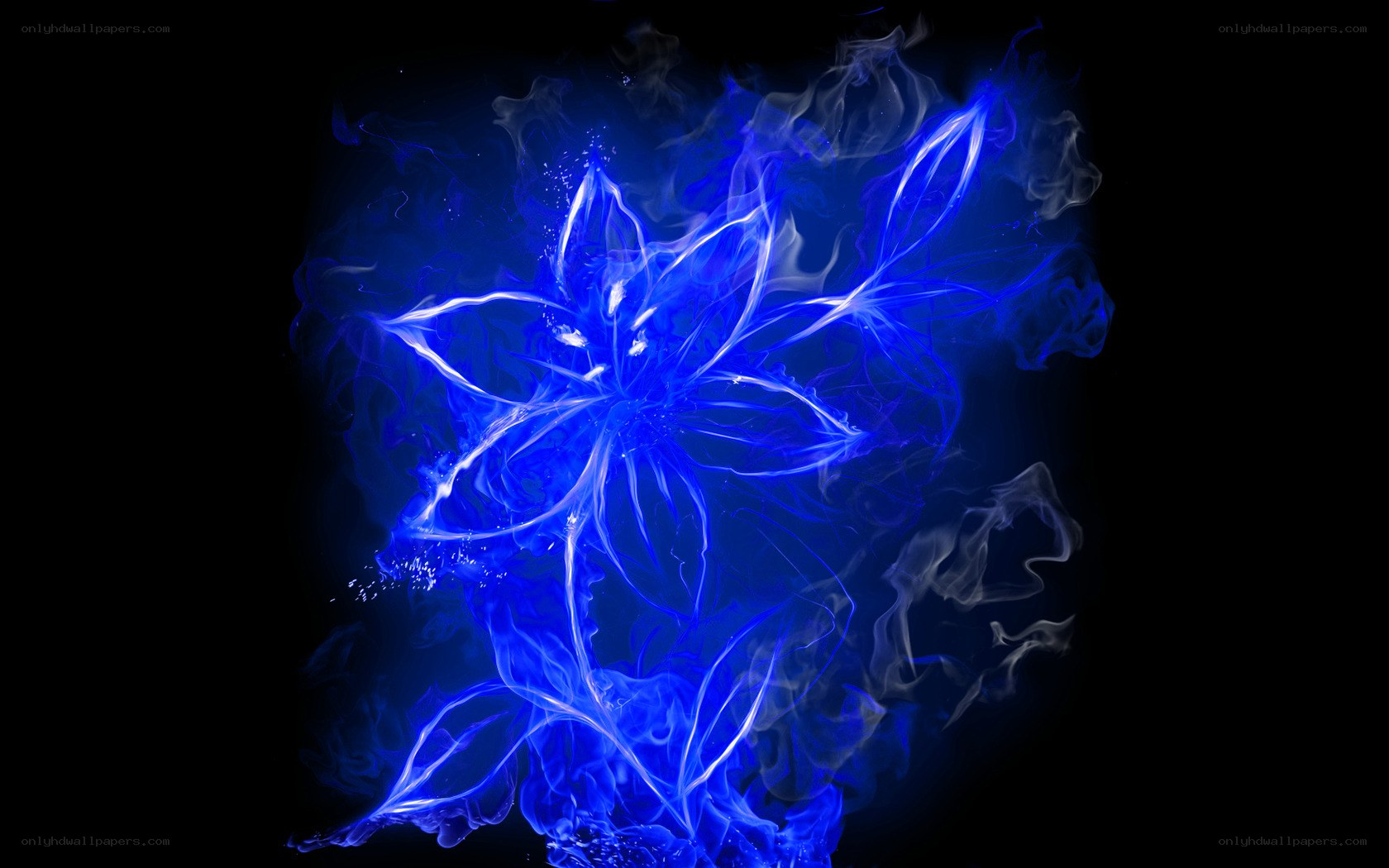 blue flame flower
