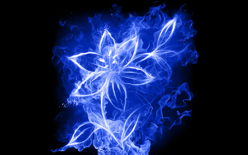Blue Flame Flower — Dramatic