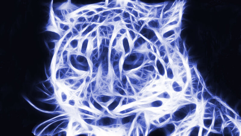 blue flame tiger face