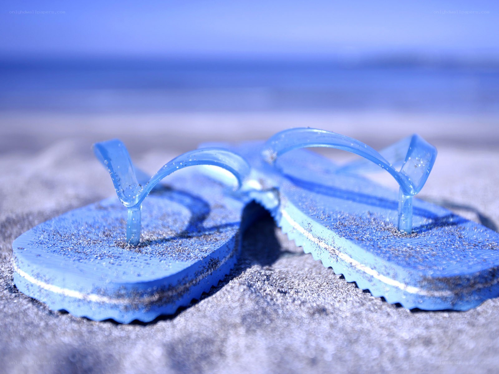 Blue flip flops on the beach