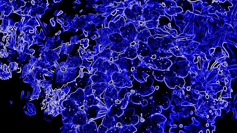 blue floral abstract pattern