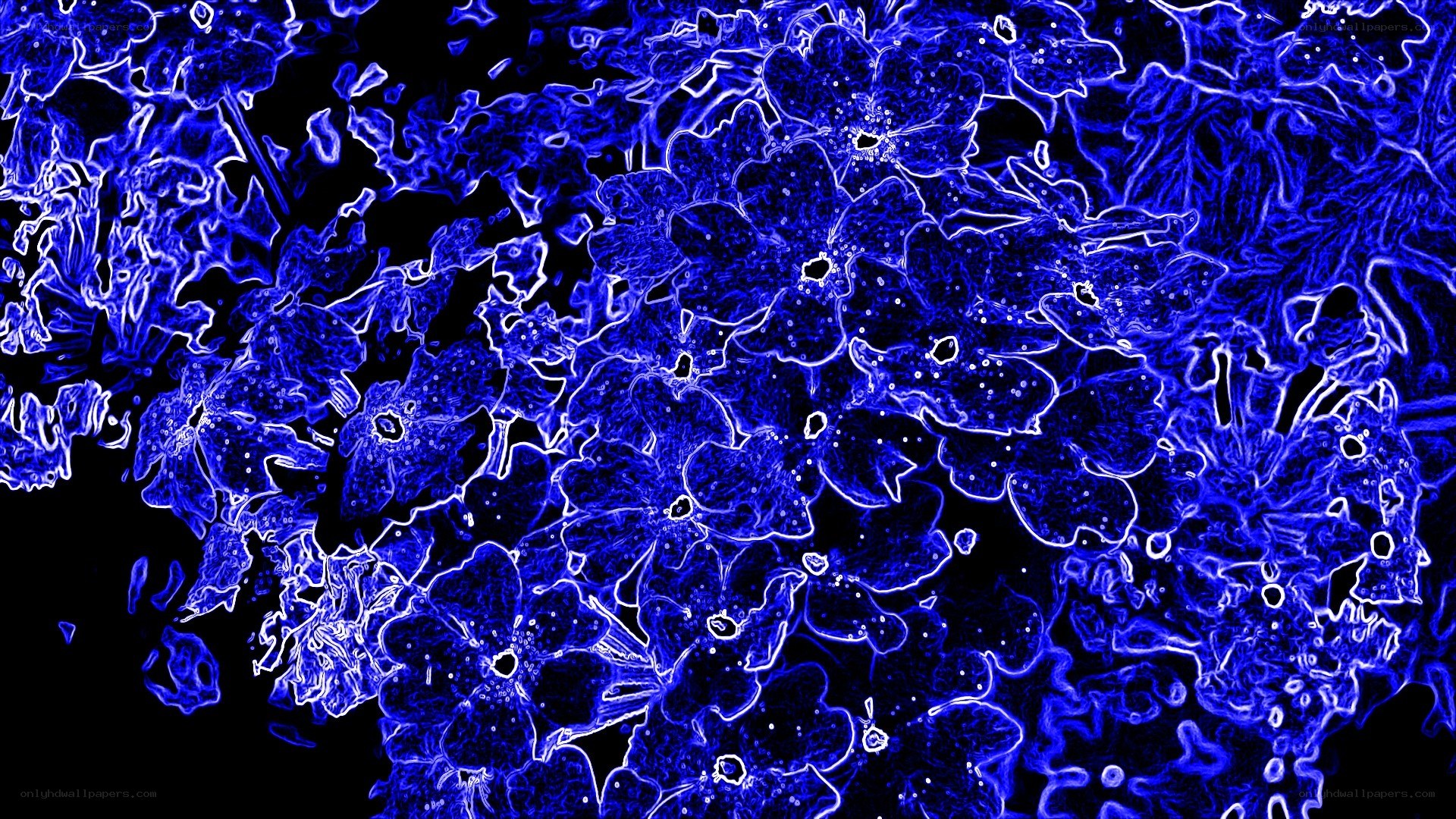 blue floral abstract pattern
