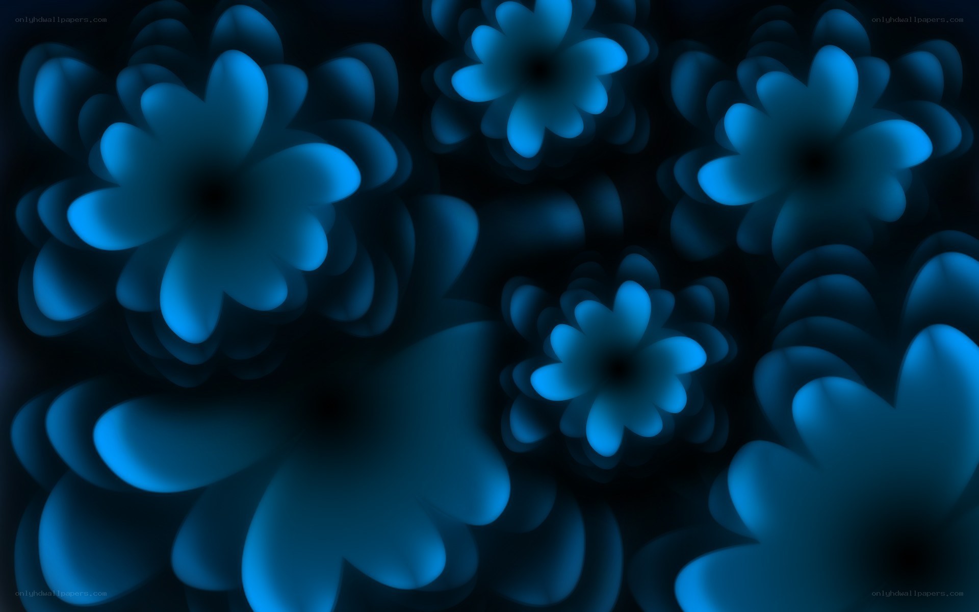 blue floral abstract pattern