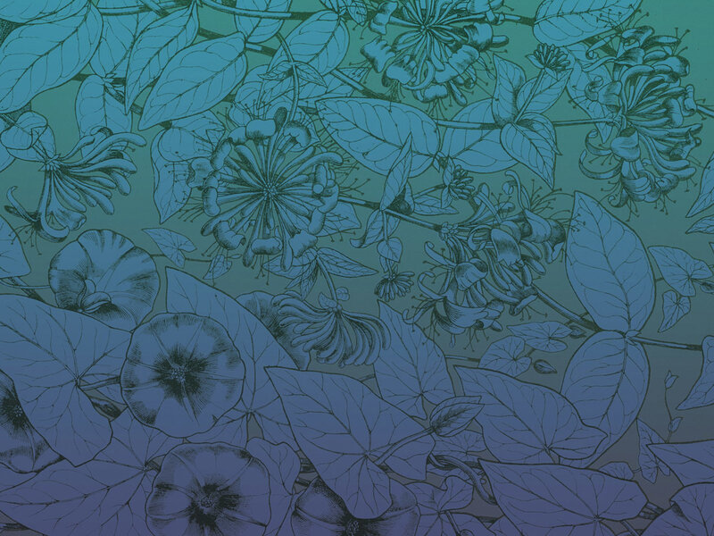 blue floral botanical pattern
