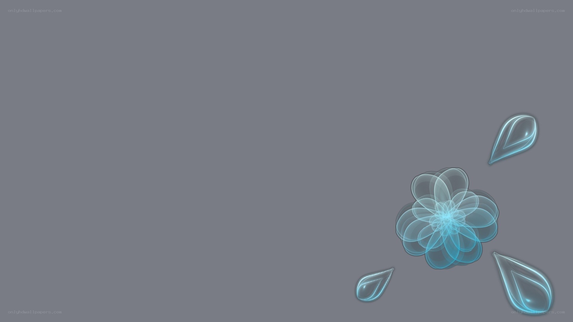 blue floral design on gray