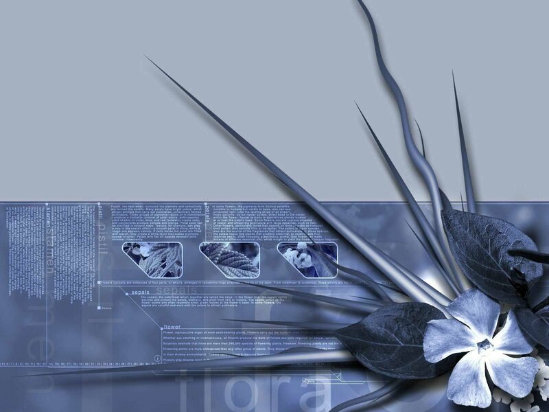 blue floral digital design