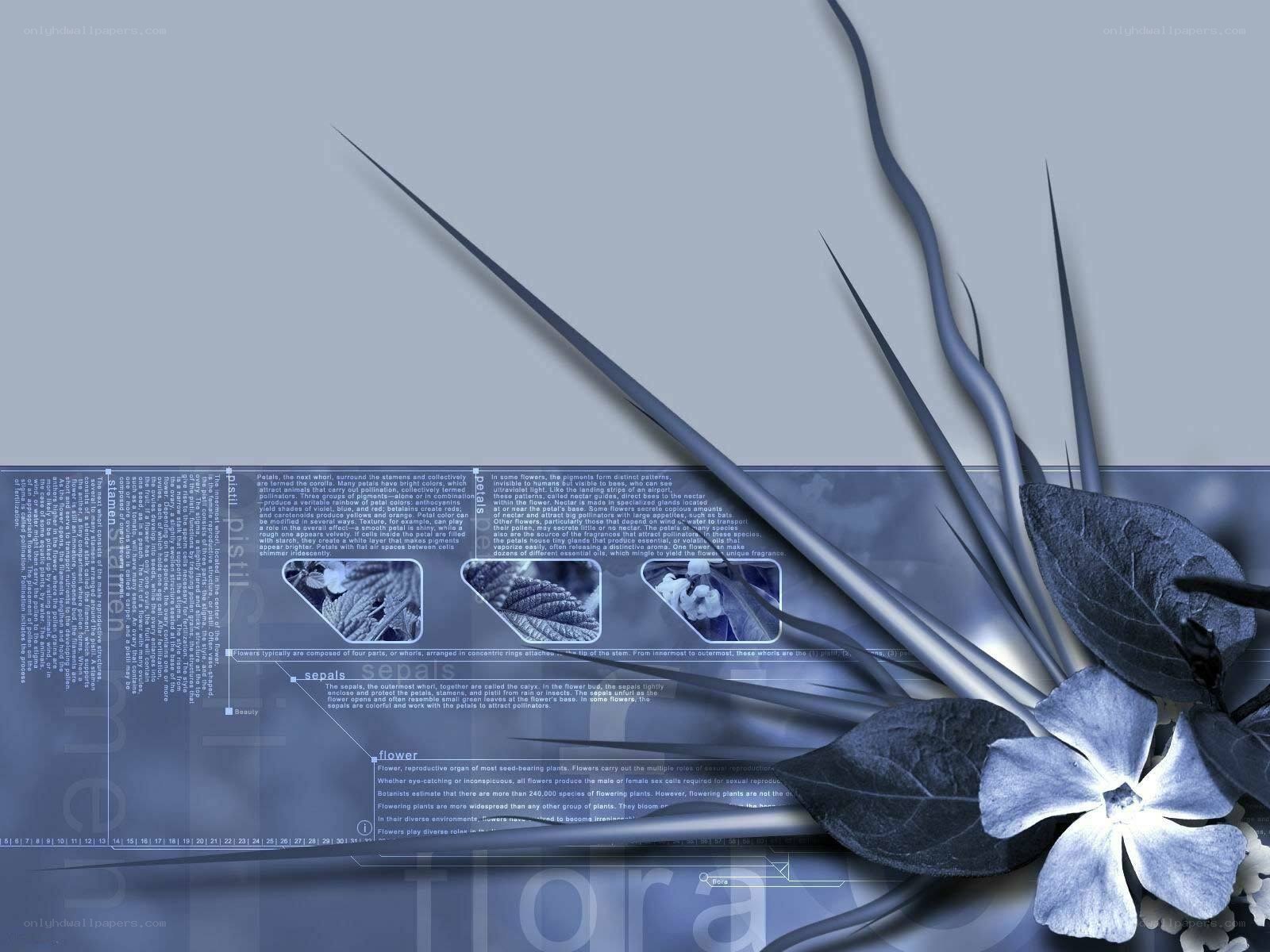 blue floral digital design