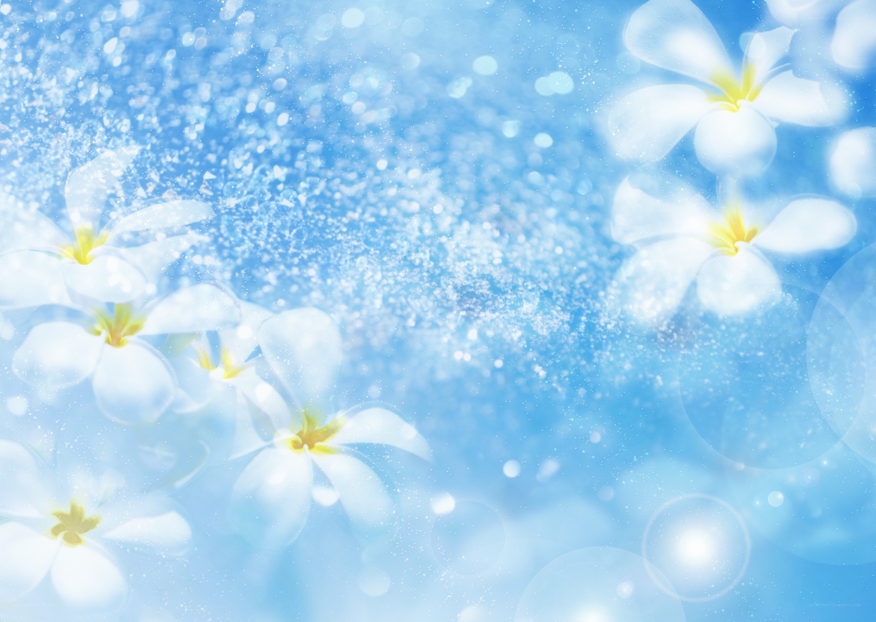 Blue floral dream background