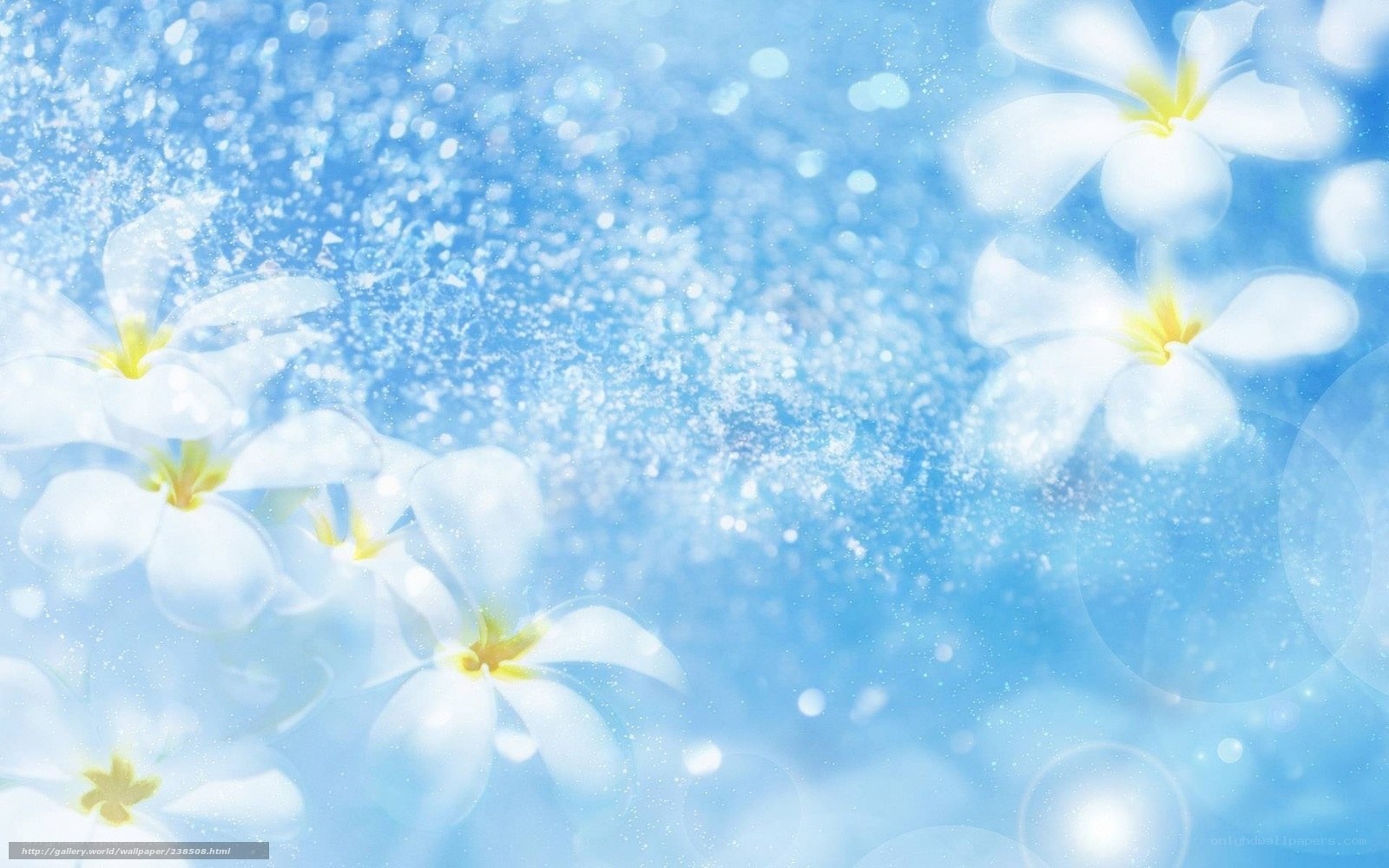 blue floral dream background