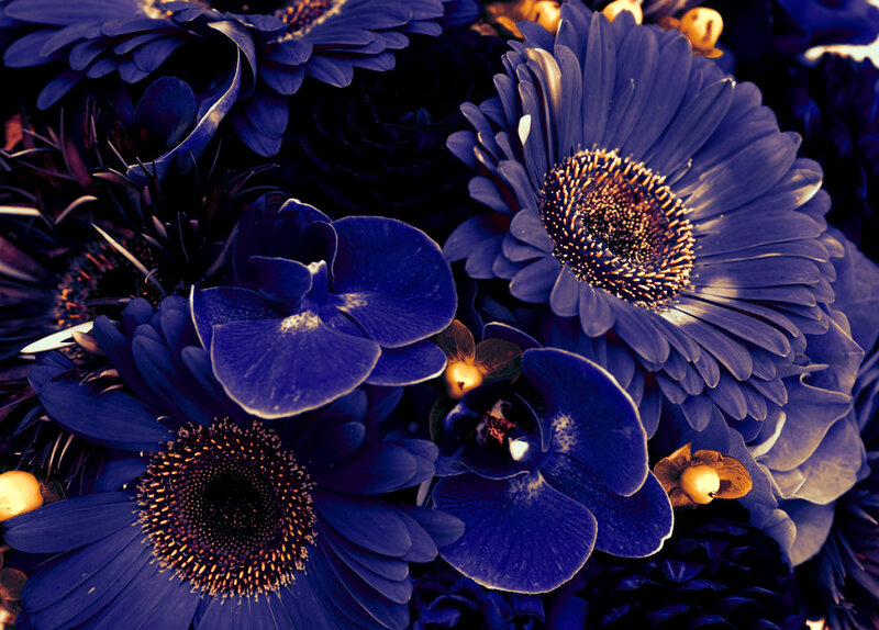 Blue Flower Bouquet — Dramatic