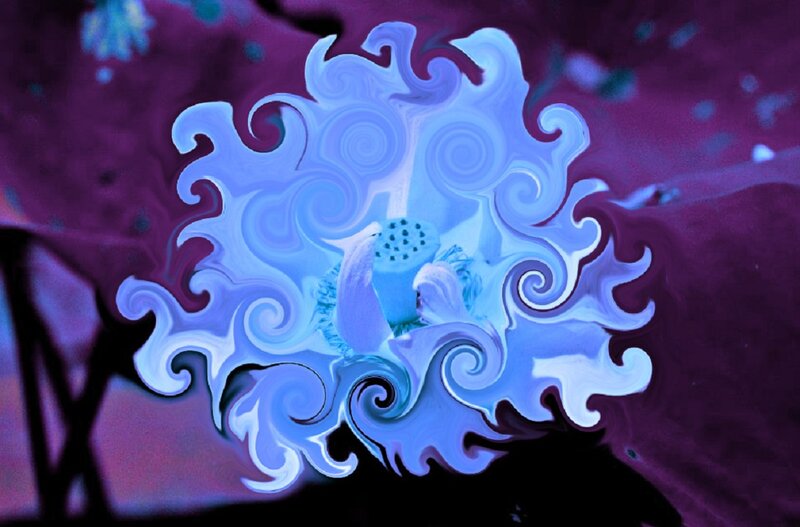 Blue Flower Center — Purple