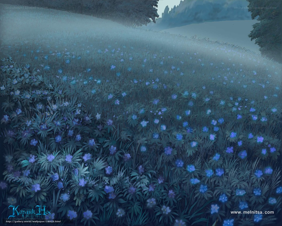 Blue flower field at dusk