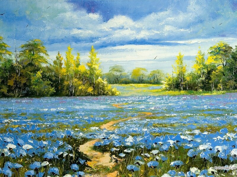 Blue Flower Field — Serene