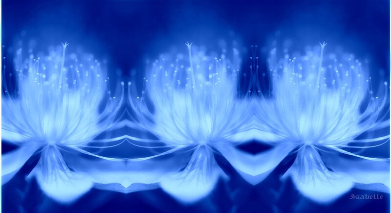 Blue Flower Filaments