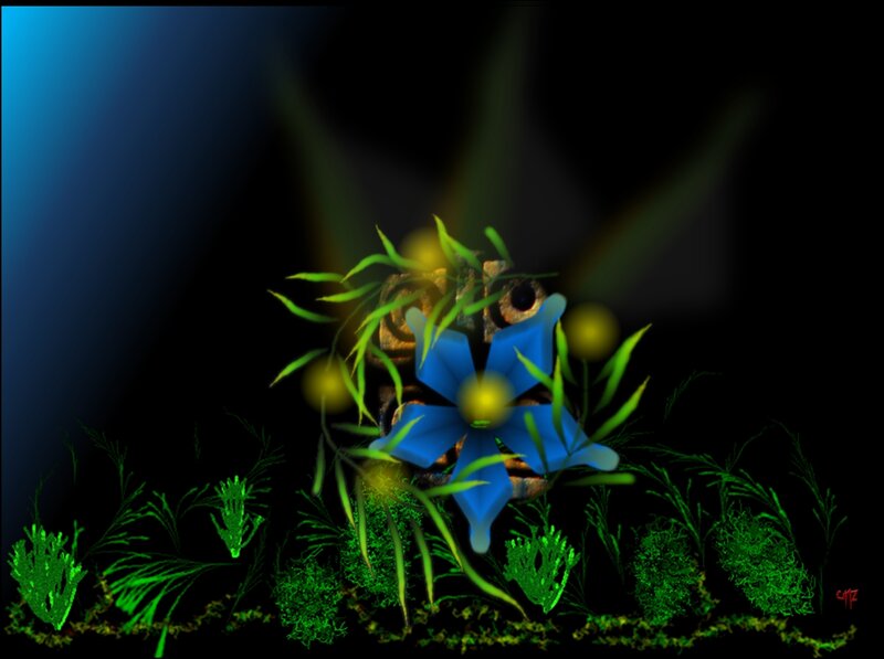 Blue Flower in Dark Plants