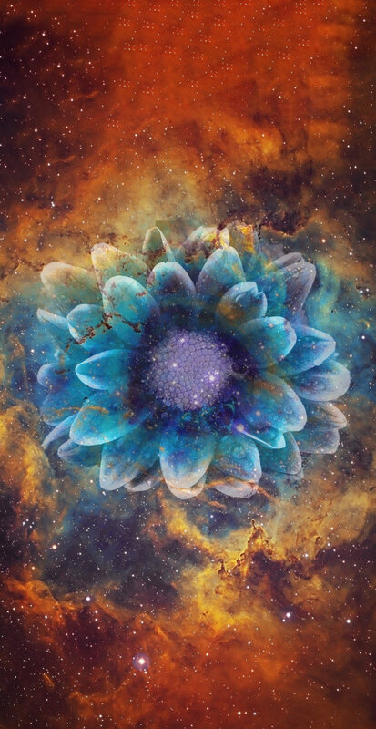 Blue Flower in Space