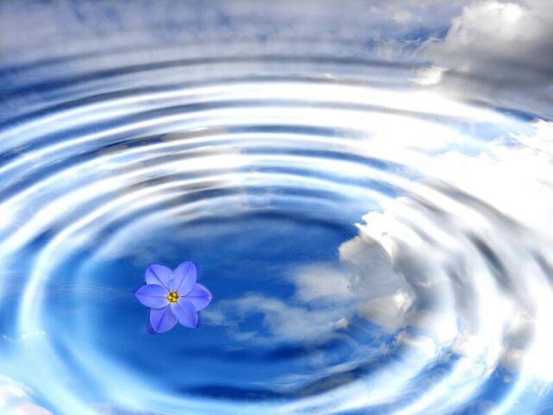 Blue Flower in Water — Serene, Digital Art