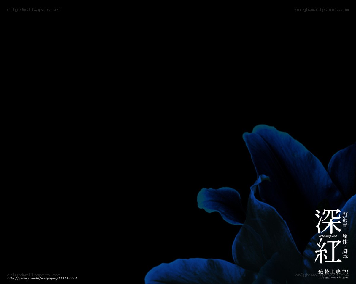 blue flower on black background