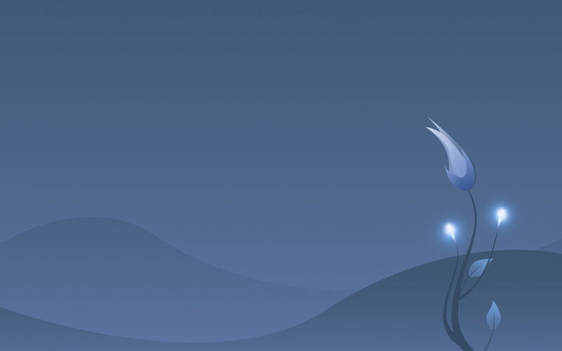 Blue flower on hills