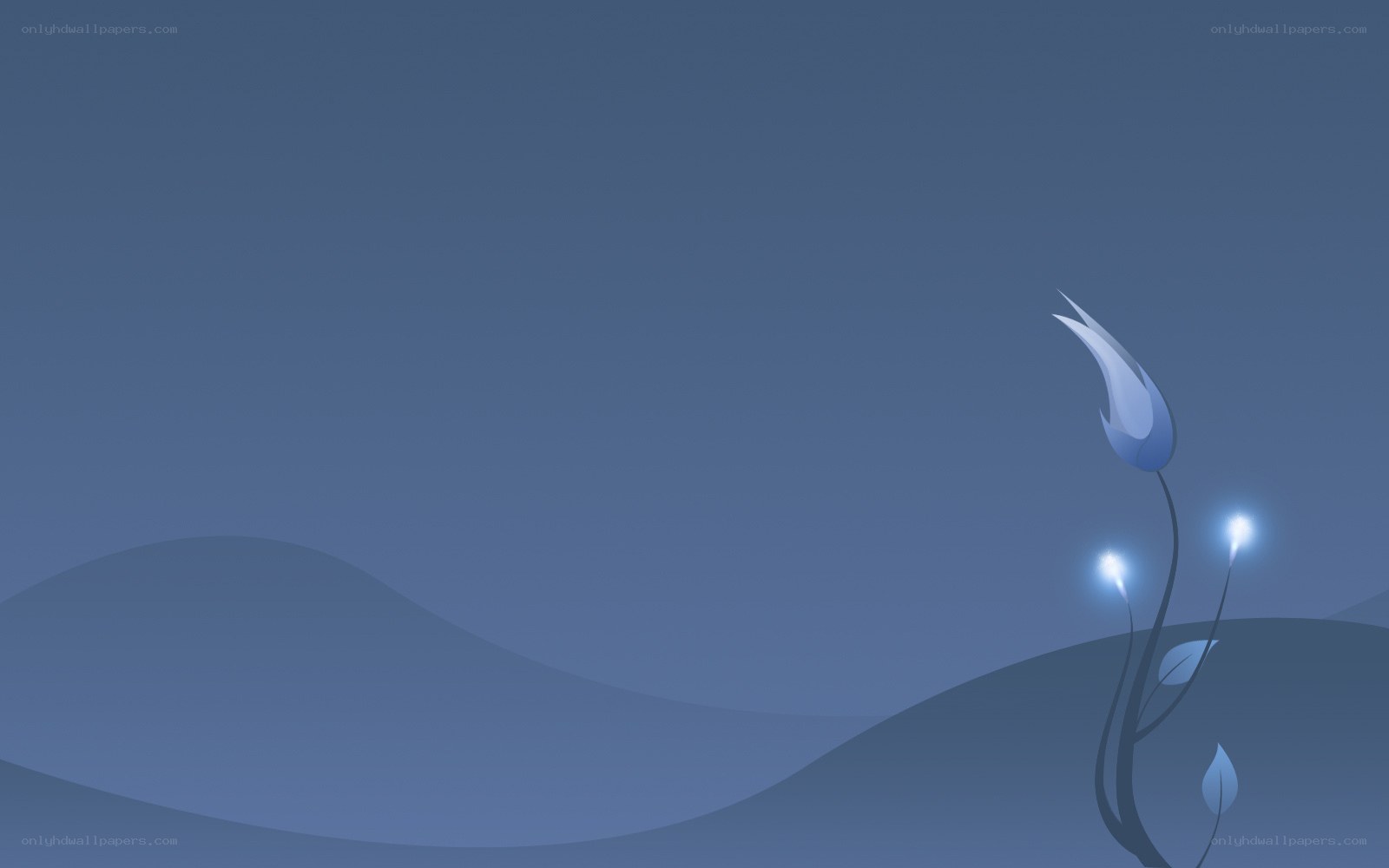 Blue flower on hills
