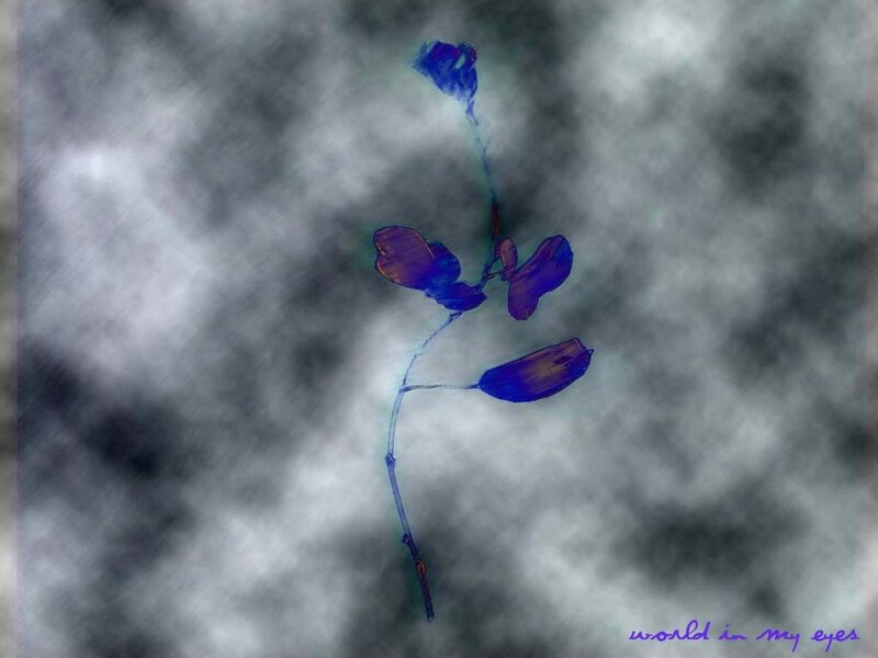 Blue Flower on Stem