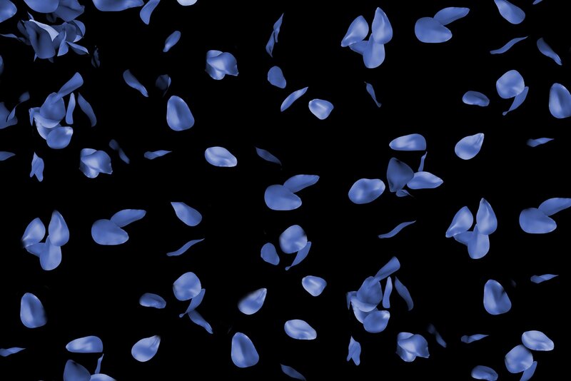 Blue Flower Petals — Serene, 3d Render