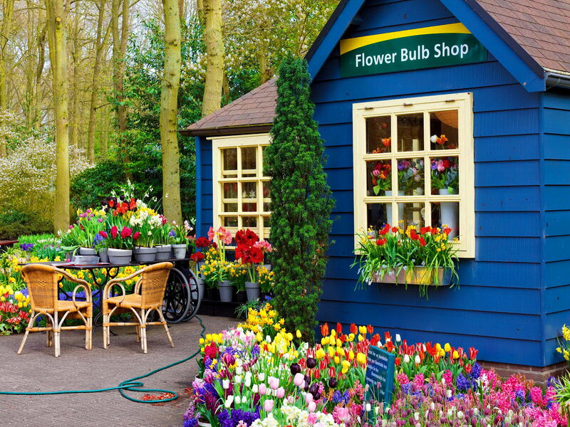 Blue Flower Shop