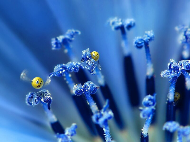 Blue flower with animated bees