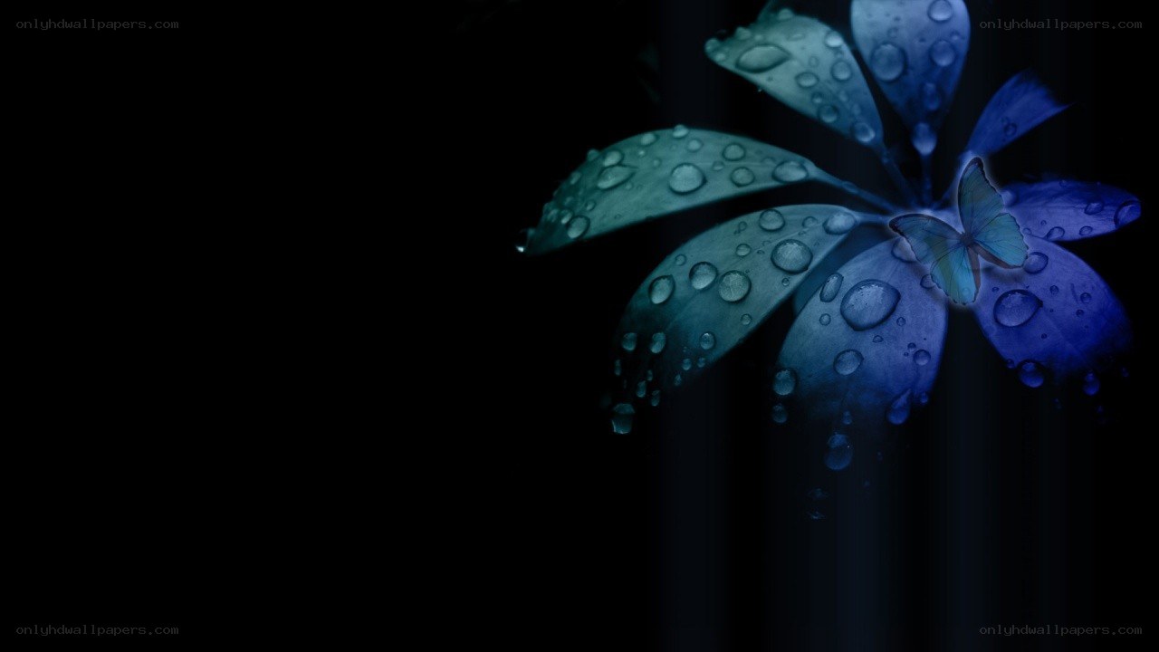 blue flower with butterfly