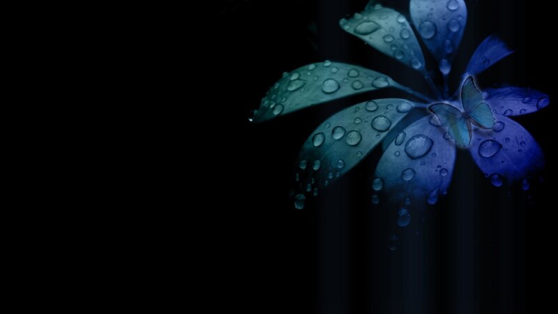Blue Flower with Butterfly — Serene, Night, Digital Art, Water Droplets, Leaves