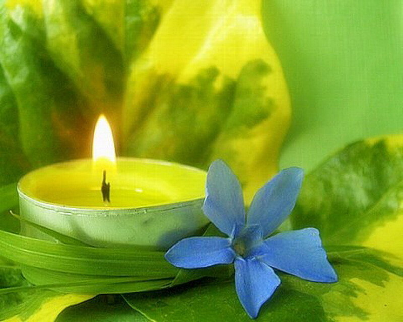 Blue Flower with Candle