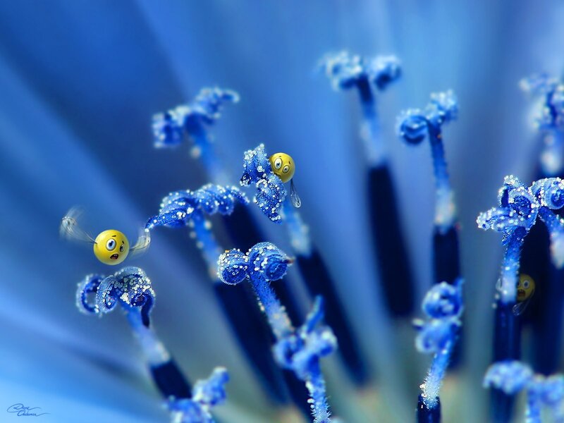 Blue flower with cartoon bees